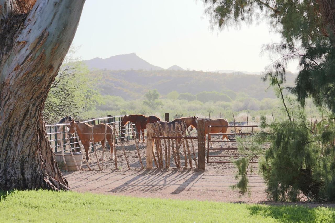 Hotel Kay El Bar Guest Ranch Wickenburg Exterior foto