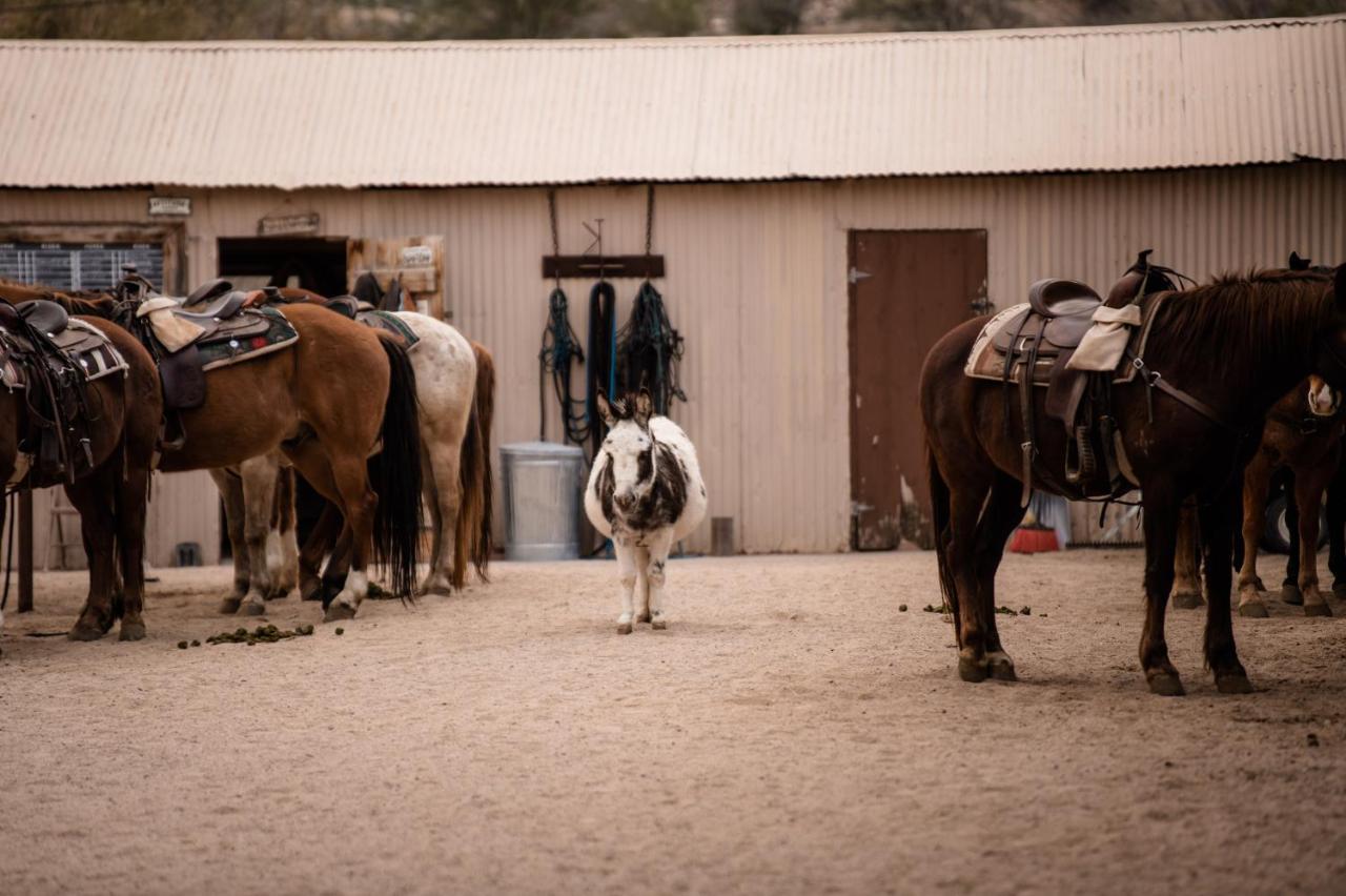 Hotel Kay El Bar Guest Ranch Wickenburg Exterior foto